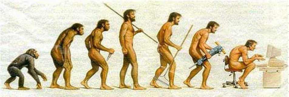 EVOLUCION